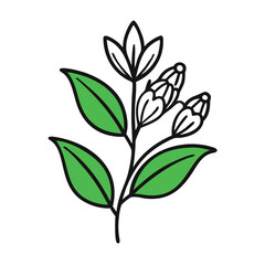 Elegant flower and green leaves illustration on black backdrop