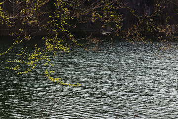 Rippling Hechtsee waters under spring foliage, Kufstein, Austria
