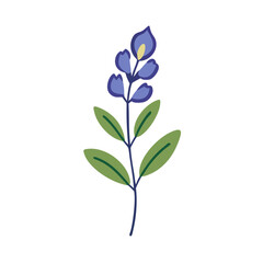 Single stylized lupine flower on a black background