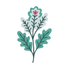 Decorative Flower Illustration Isolated on Black Background