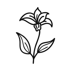 Elegant Lily Flower Outline Illustration on Black Background