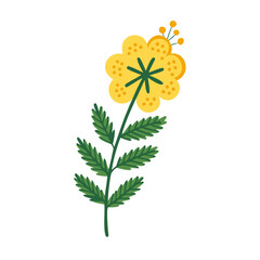Bright Yellow Wildflower Illustration on Black Background
