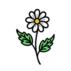 Black Daisy Flower with Leaves on Black Background