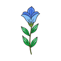 Cute bluebell flower illustration on a black background