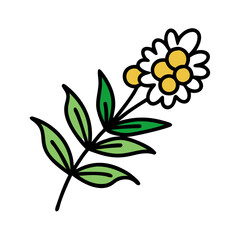 Simple Olive Branch with Berries on Black Background