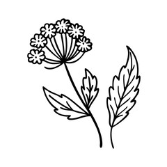 Solid black background great for overlays and typography