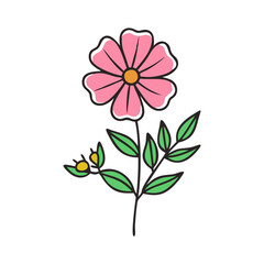 Pink Flower Illustration with Stem and Green Leaves