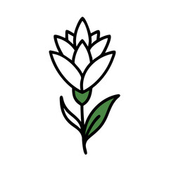 Abstract Green Leaves Vector Illustration on Black Background