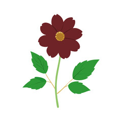 Dark Red Flower Illustration on Black Background