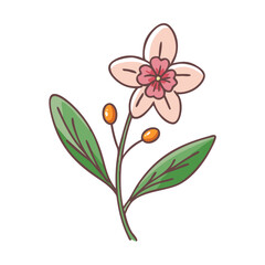 Cute floral doodle illustration, pink flower with berries