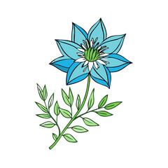 Light Blue Flower and Green Stem on Black