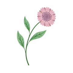 Pink flower with leaves on black background vector