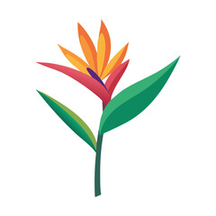 Vibrant Bird of Paradise Flower Illustration on Black