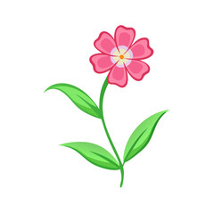 Pink flower illustration on black background, vibrant colors
