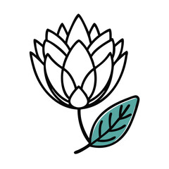 Minimalist Lotus Flower with Leaf on Black Background