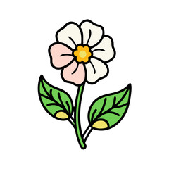 Cute White and Pink Flower Illustration on Black