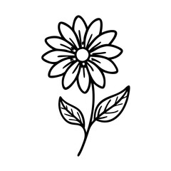 Monochromatic Black Background for Design and Visual Elements