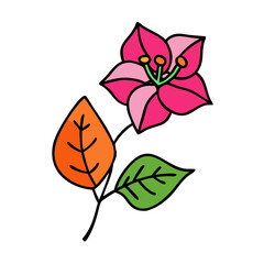Vibrant Flower and Leaves Illustration on Black Backdrop
