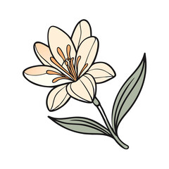Elegant cream flower illustration on a black background