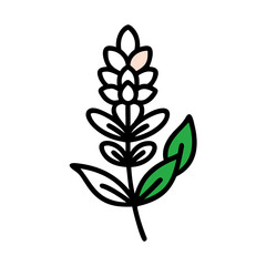 Minimalist leaf illustration with light pink and green accents