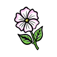 Elegant Pink and White Flower on Black Background