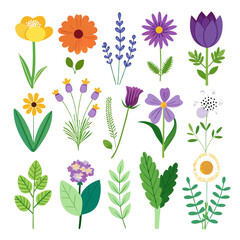 Variety of cartoon flowers and leaves illustration set
