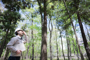  Men in work clothes with helmets checking forests in forestry and forest maintenance, construction management, etc. Wide angle