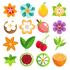 Colorful Flowers and Fruits Vector Illustration Isolated Set