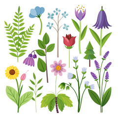 Colorful botanical illustration with flowers, leaves and plants