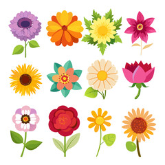 Colorful Assorted Flower Vector Graphic Illustrations on White Background