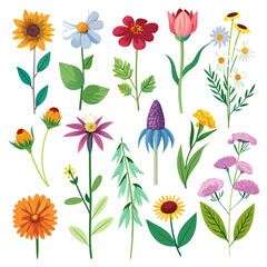 Diverse floral illustration set, botanical elements, vector design