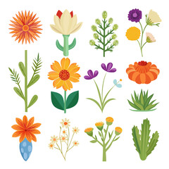 Colorful Floral Arrangement, Vector Illustration, Variety of Flowers