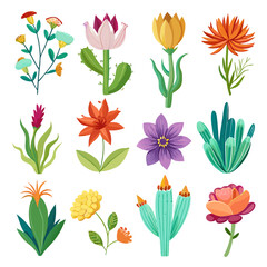 Colorful Illustration of Flower and Cactus Collection