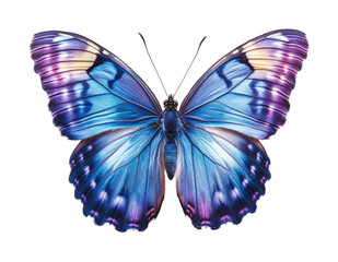 Obraz premium Vibrant blue butterfly in natural habitat beauty. Isolated on transparent background, png.
