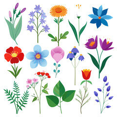 Assorted Flowers Vector Illustration for Spring and Summer