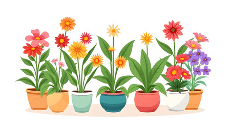 flower plants in pot