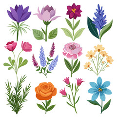 Elegant Floral Collection: Vector Illustration of Diverse Flower Types