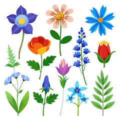 Collection of diverse floral illustrations on a white background