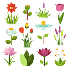 Cartoon flower collection of different colors and types