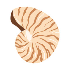 Nautilus shell illustration featuring stripes and intricate patterning