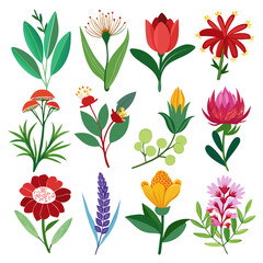 Set of colorful stylized flowers and plants collection