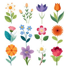 Colorful Floral Variety: Elegant Vector Flower Collection Isolated