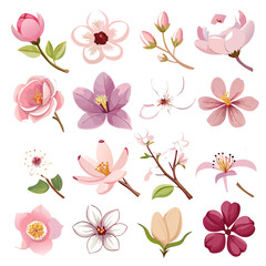 Collection of Pastel Flowers and Blossoms Isolated