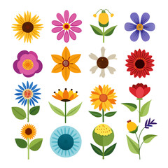 Variety of colorful flowers illustration on white background