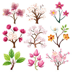 Watercolor Illustration of Beautiful Spring Flowers Collection