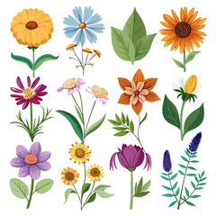 Botanical Collection: Assorted Flower and Foliage Vector Set