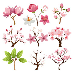 Assorted cherry blossom and magnolia branch illustrations on white