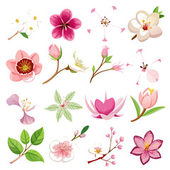 Beautiful Floral Arrangement: Pink and White Flower Collection