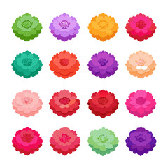 Colorful Flower Collection on White Background, Floral Decoration