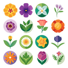 Colorful Flower Collection Illustration Isolated on White Background